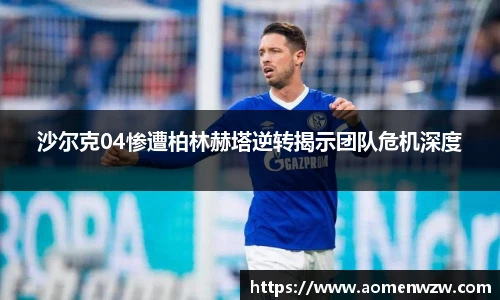 王中王资料大全