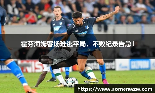 王中王资料大全