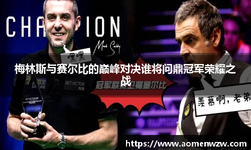 王中王官网资料